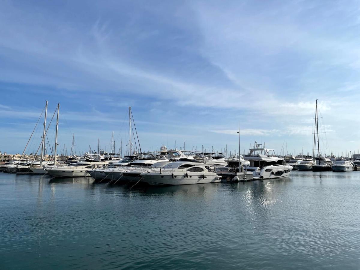 Haroldo Parres 17 Leilighet Alicante Eksteriør bilde